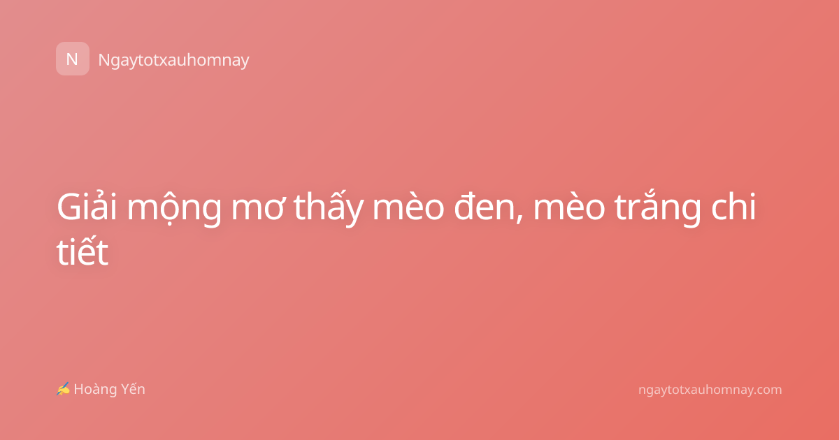 Giải mộng mơ thấy mèo đen, mèo trắng chi tiết