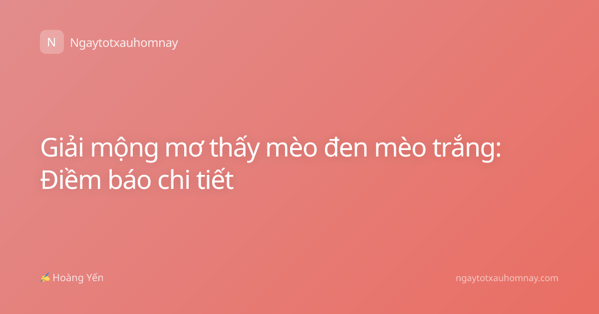 Giải mộng mơ thấy mèo đen mèo trắng: Điềm báo chi tiết