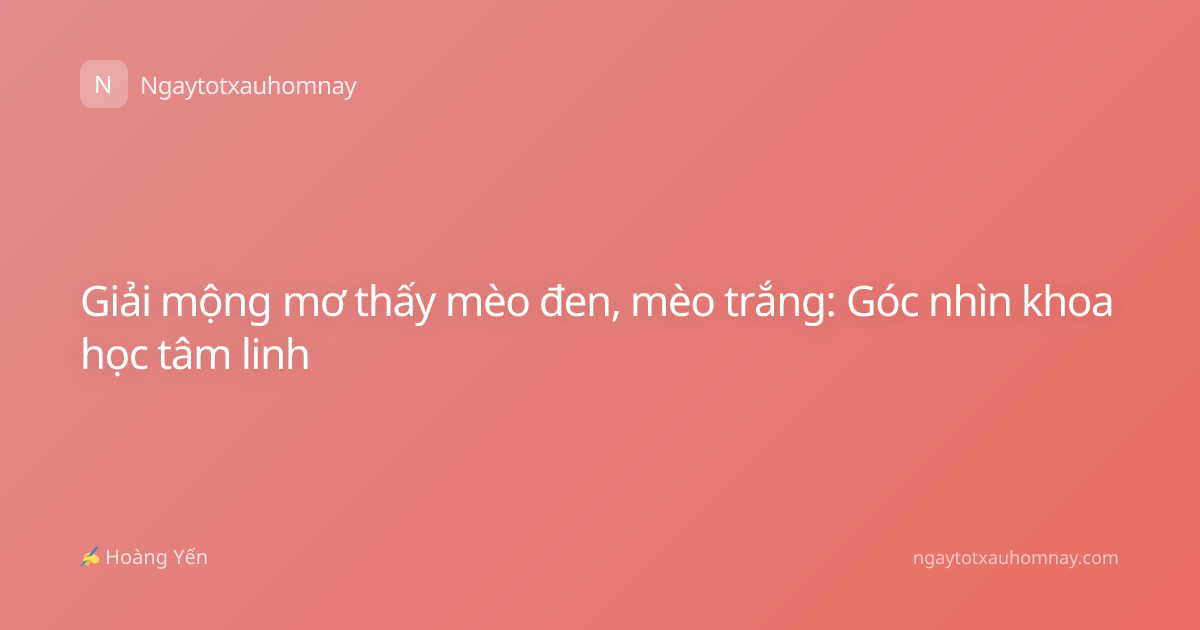 Giải mộng mơ thấy mèo đen, mèo trắng: Góc nhìn khoa học tâm linh