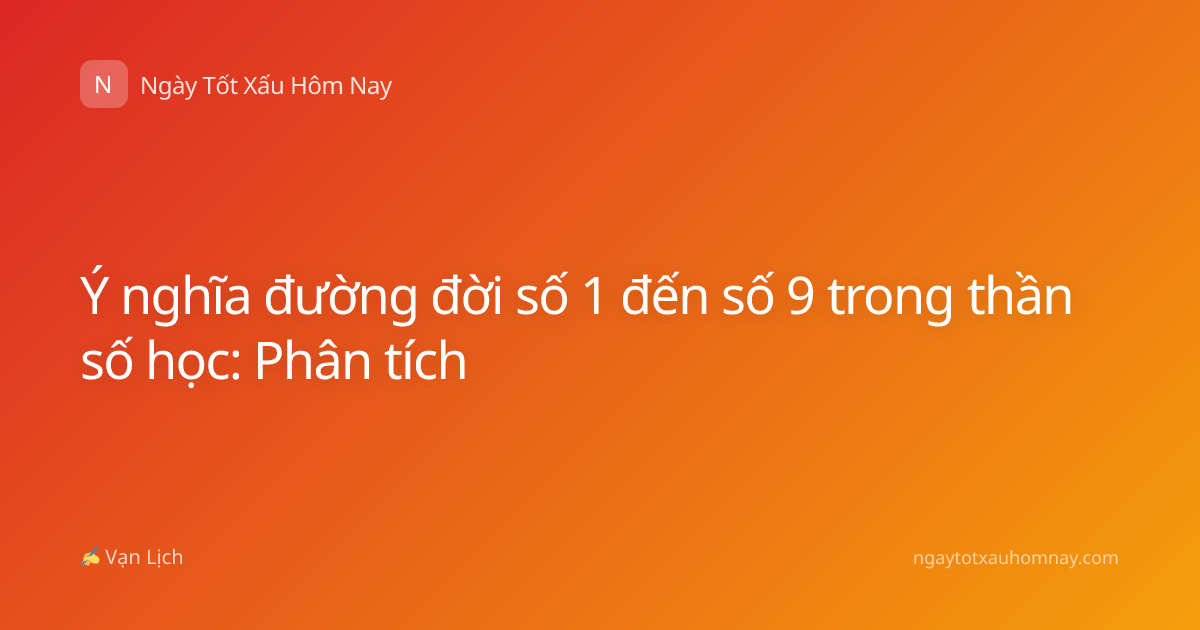 Ý nghĩa đường đời số 1 đến số 9 trong thần số học: Phân tích